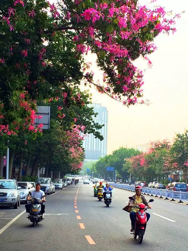 你好！我的名字叫惠州，这是我的名片