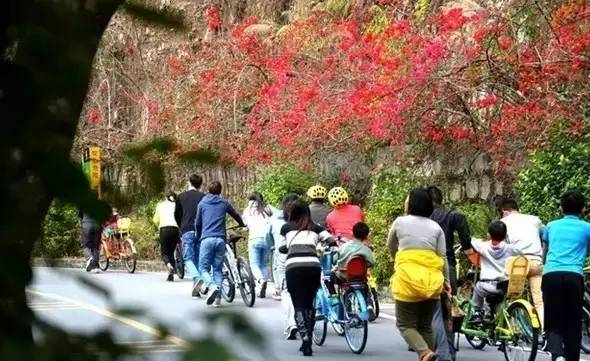 你好！我的名字叫惠州，这是我的名片