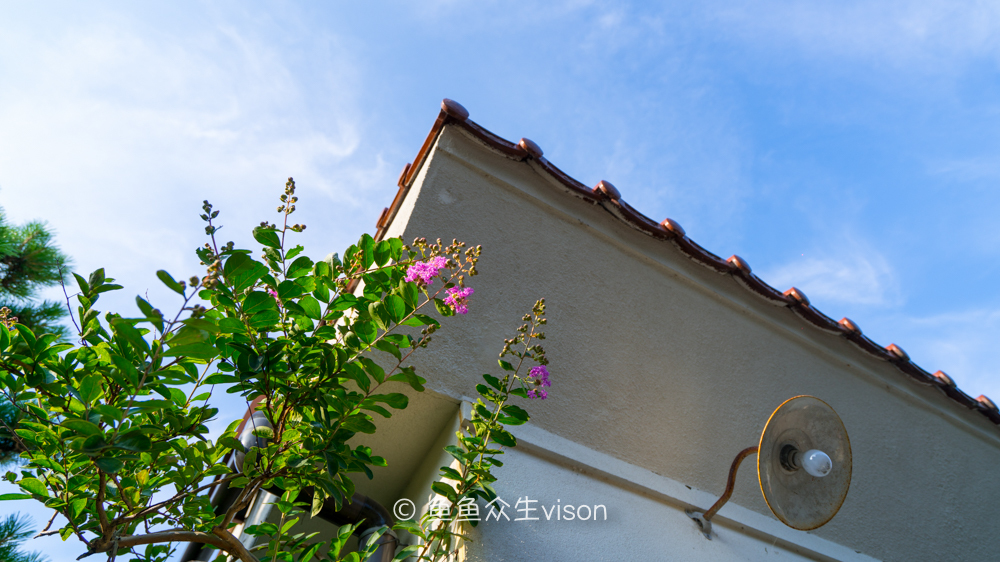 日本东京大阪最值得去的地方,日本大阪深度游攻略