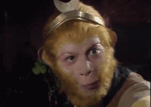 避雷指南免费阅读,避雷指南完整版视频