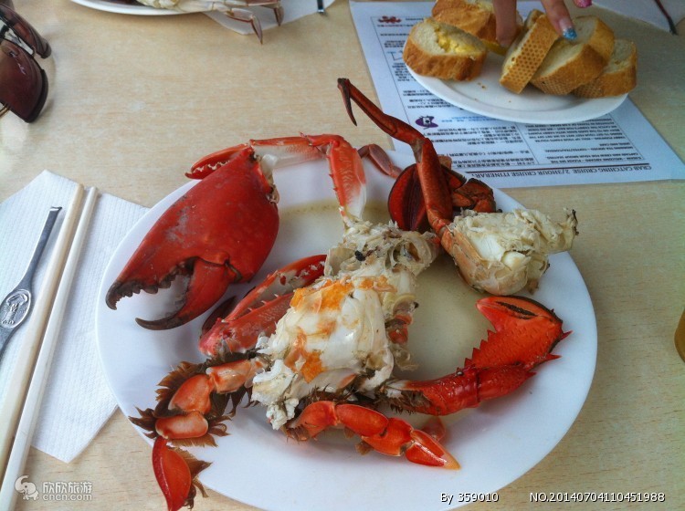 去澳大利亚旅游需要注意些什么,澳大利亚旅游要注意事项