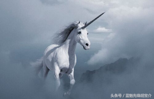 小米这个品牌是国外创造出来的吗,小米究竟是什么样的公司