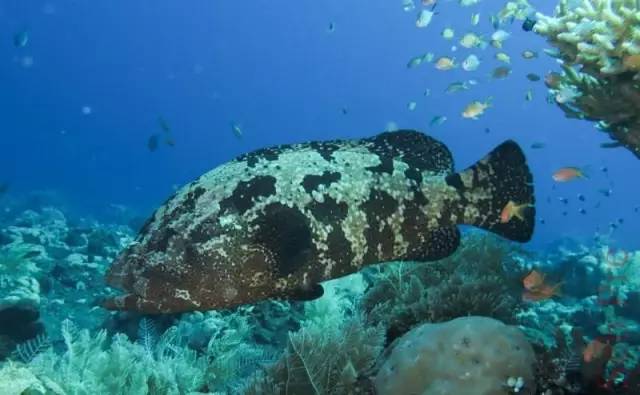 南京鳗亭日料,鳗亭日料南京