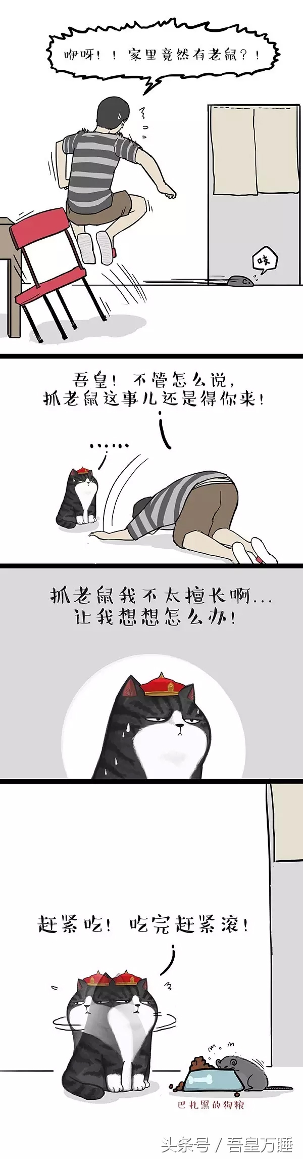 吾皇猫到底是个什么,吾皇猫现实叫什么