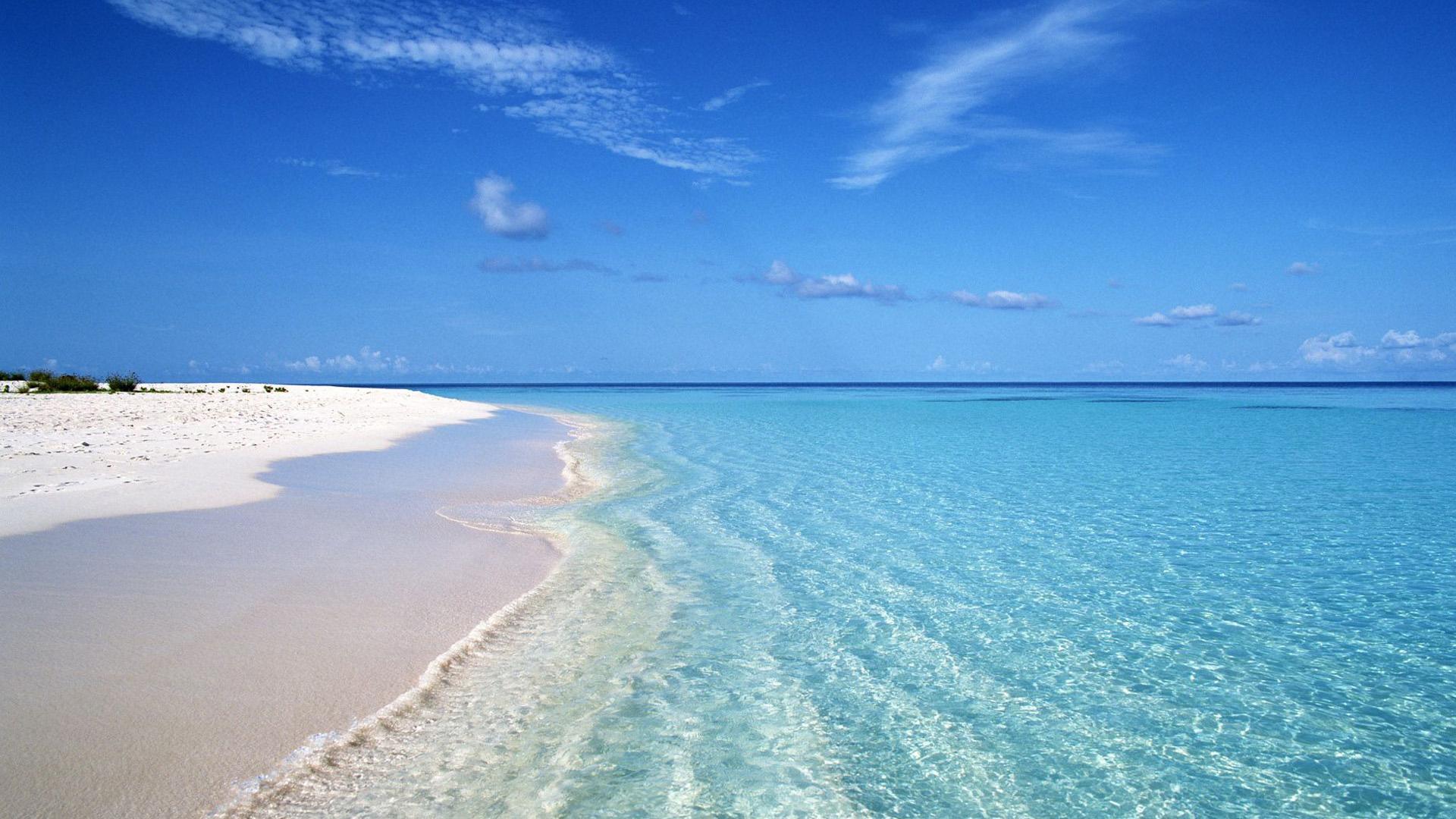 熬夜整理初中数学考点技巧全汇总,熬夜整理初中必备语法知识清单