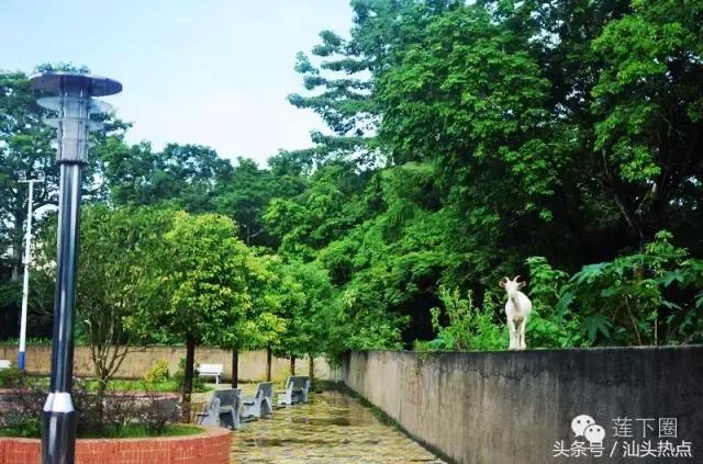 在莲下生活了这么多年，你可知哪个村人口最多？哪个村人口最少？