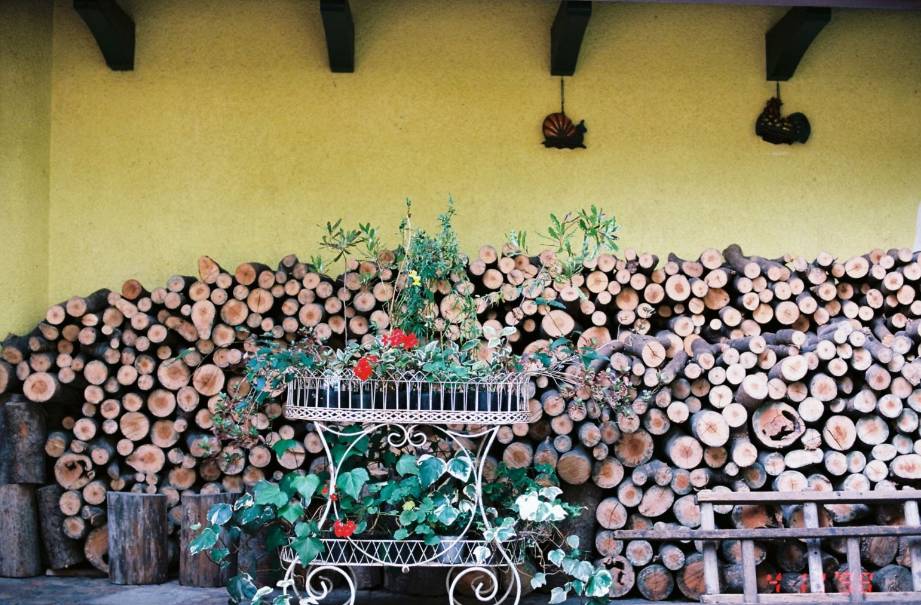 跟兔达人走世界——东京，追寻龙猫的足迹