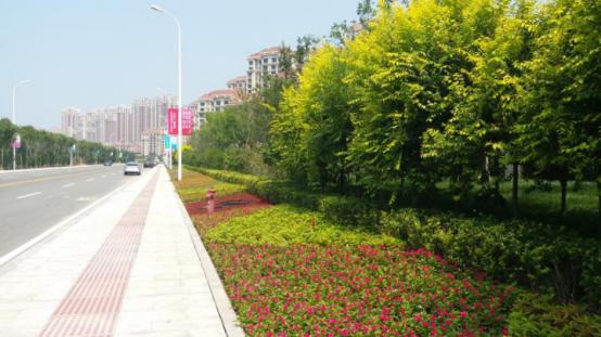 津南区火炬传递视频,津南区火炬传递直播