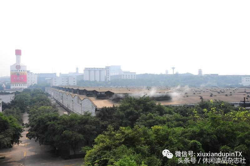 五粮液酒圣山可以开车上去不,五粮液酒厂全景参观