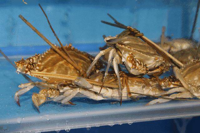 浙江小渔村自驾,浙江小众但绝美的古村