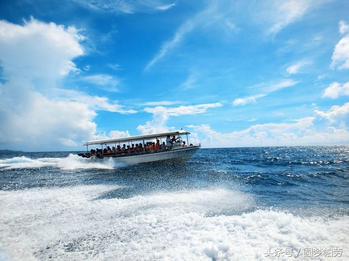 一站式的帕劳自由行,帕劳自由行最佳路线图