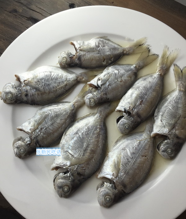 唐朝人为什么要将鲳鱼称为“狗瞌睡鱼”？六种鲳鱼你认识几种？