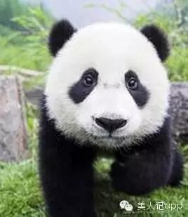 分不清是哪种黑眼圈,分不清楚是眼袋还是黑眼圈