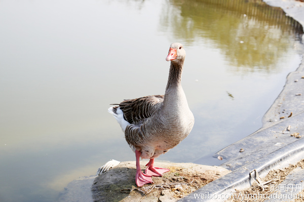 牵着小手去旅行,牵着小手去旅游