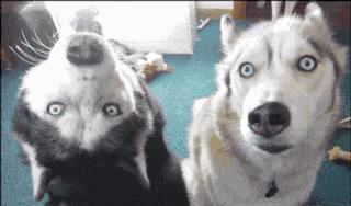 篮球野球场搞笑图片,篮球搞笑图片大全大图