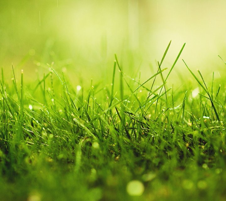 不要停继续英语怎么说,不要停继续英文