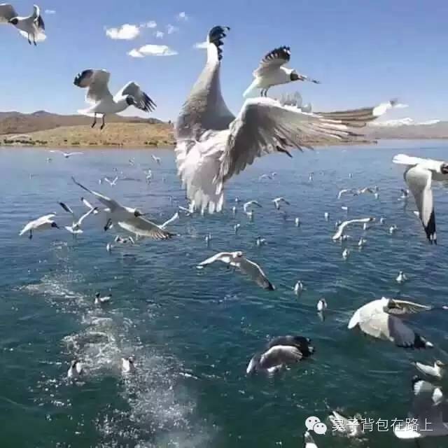 骑行新藏线阿里地区,骑行阿里大北线行程详细攻略