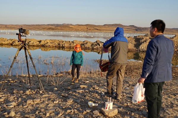 白石水库看天鹅最佳位置导航,白石水库看天鹅2020