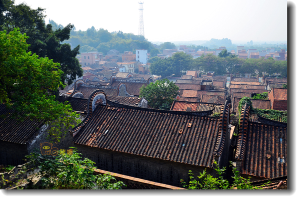 十二道锋味谢霆锋潮汕牛肉,十二道锋味隆苑咖啡谢霆锋
