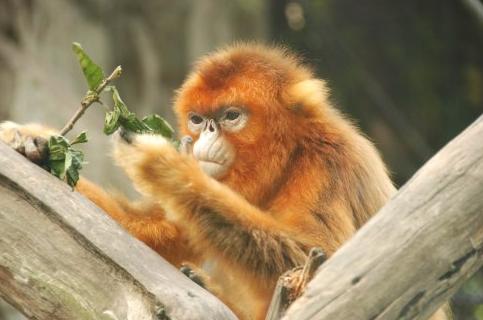 西游记沙和尚演过哪些配角,西游记中的配角都有哪些