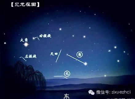 二月二龙抬头怎么给小孩子剃头呢,为什么正月剪头死舅舅