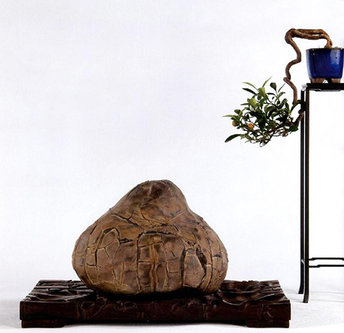 你分得清吗是梦还是现实,你分得清吗文字背景图