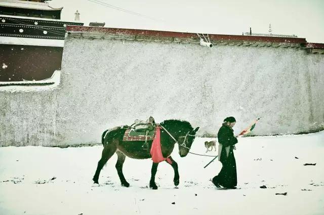 CMPA|2016年3月17日编辑推荐作品