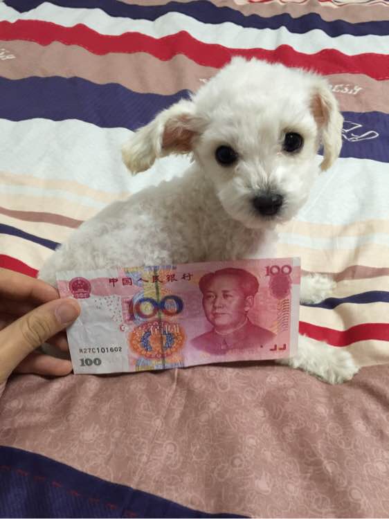 小米粒去汗毛,6-12岁儿童鼻头小米粒怎么消除