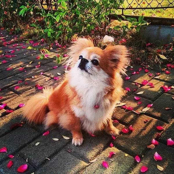 你听说过“男子汉料理”吗？