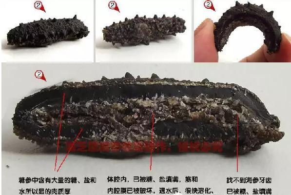 不懂这些不要轻易买保险,不要再花冤枉钱买海参