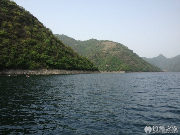 探钓野生鱼视频,探钓野生水库