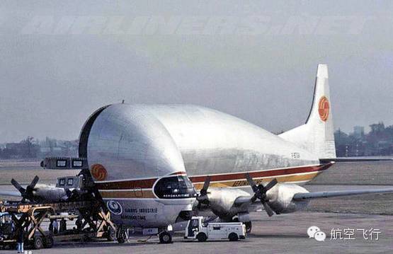 变异变形飞机,变异飞机鹦鹉