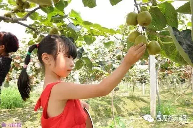 都江堰美景快乐之旅,都江堰特色旅游线路推荐