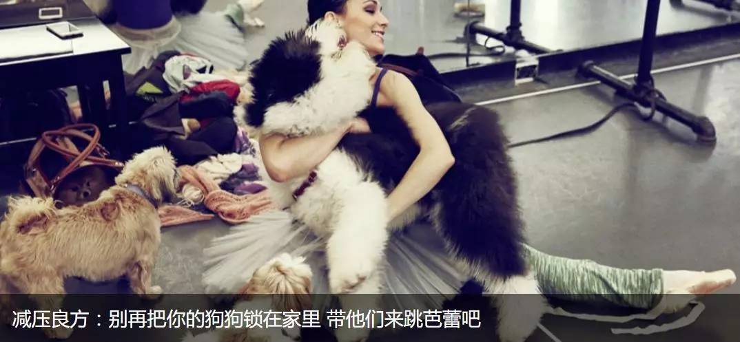 你还在追美剧阶段？试读一下影迷们量身推荐的原版小说吧