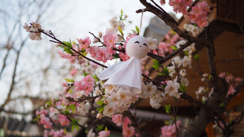 奥林巴斯相机镜头参数,奥林巴斯penf实拍样张