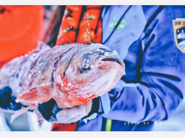 牧马少年歌曲完整版,牧马少年草原