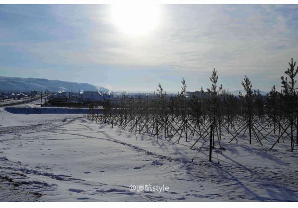 牧马少年歌曲完整版,牧马少年草原