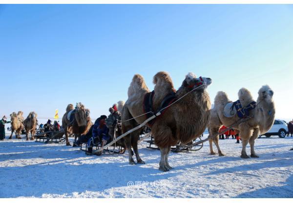 牧马少年歌曲完整版,牧马少年草原