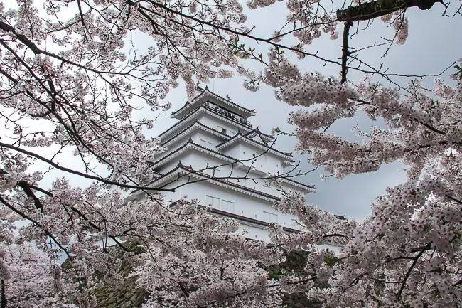 赏樱、观雪，私人版全宇宙最美8条铁路线|YOLO