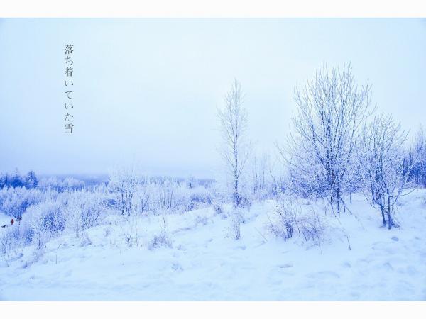 牧马少年歌曲完整版,牧马少年草原