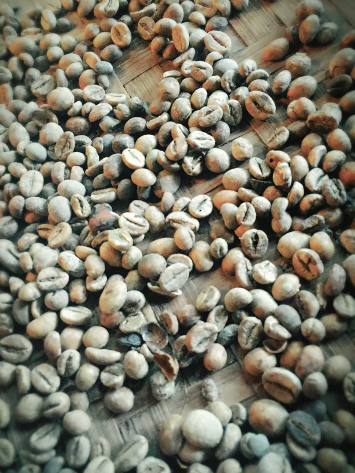 梦幻巴厘只属于你我的蜜月~~逗逼文字、气质趣图