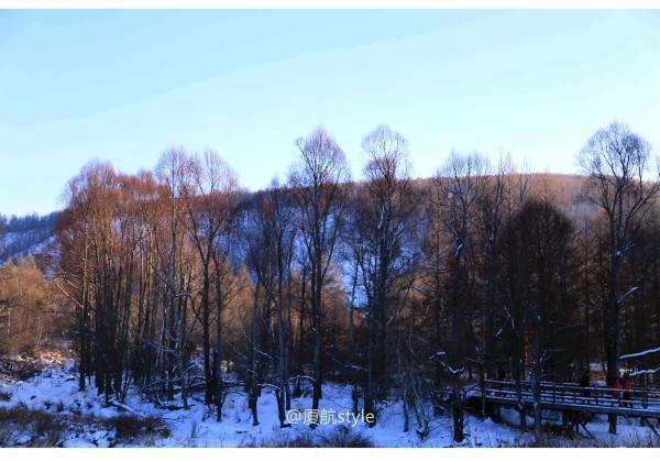 牧马少年歌曲完整版,牧马少年草原