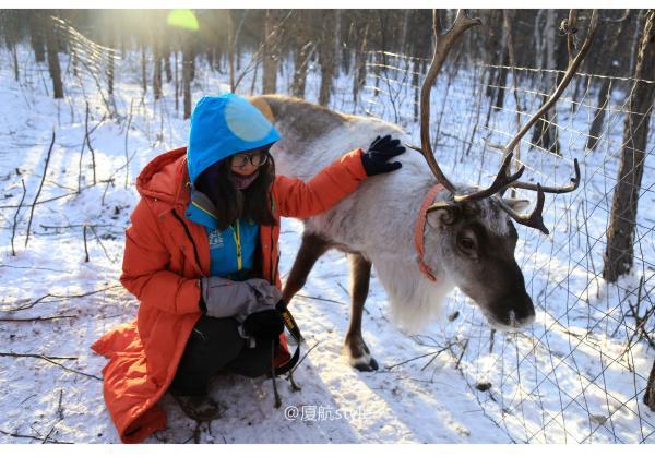 牧马少年歌曲完整版,牧马少年草原