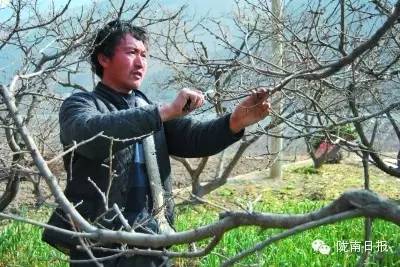 新闻资讯我县春耕春播热火朝天,春耕忙新闻