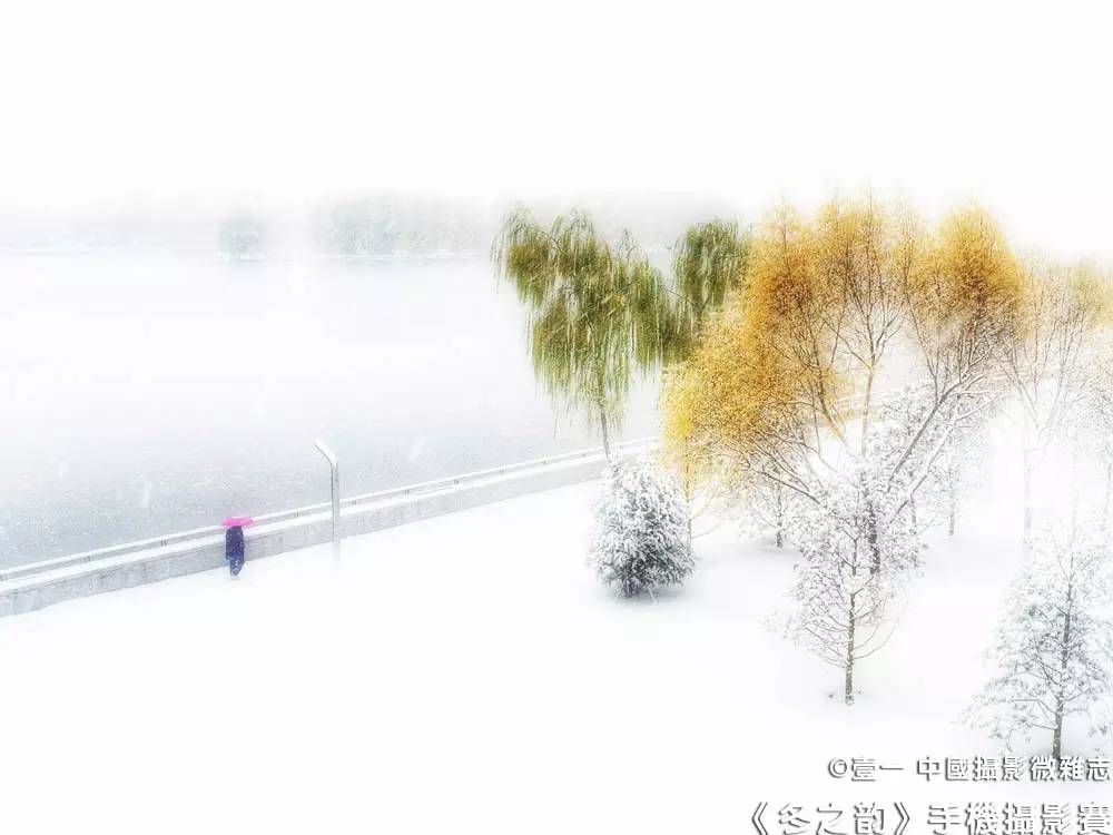《冬之韵》第八季十佳手机摄影作品公示