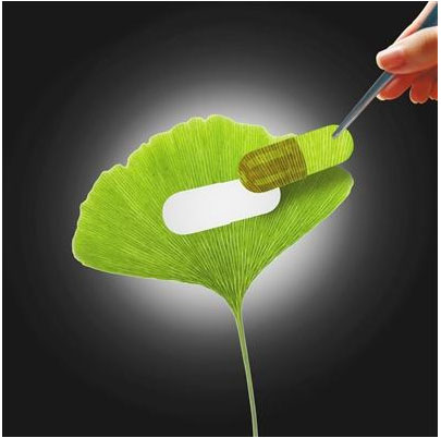 植物降压药有哪些 (植物降压药)