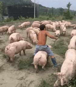 朋友聚餐，手机没电了，拿朋友手机给老婆打电话汇报