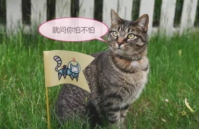 政治考80分以上什么水平,政治选择80分考70容易吗