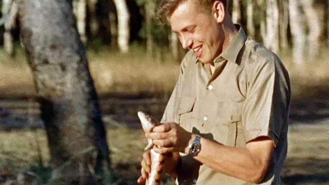 豆瓣9.7的冷门好片，送给每个热爱生命的人