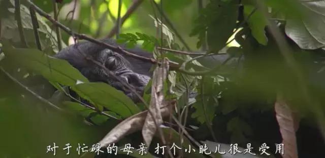 豆瓣9.7的冷门好片，送给每个热爱生命的人